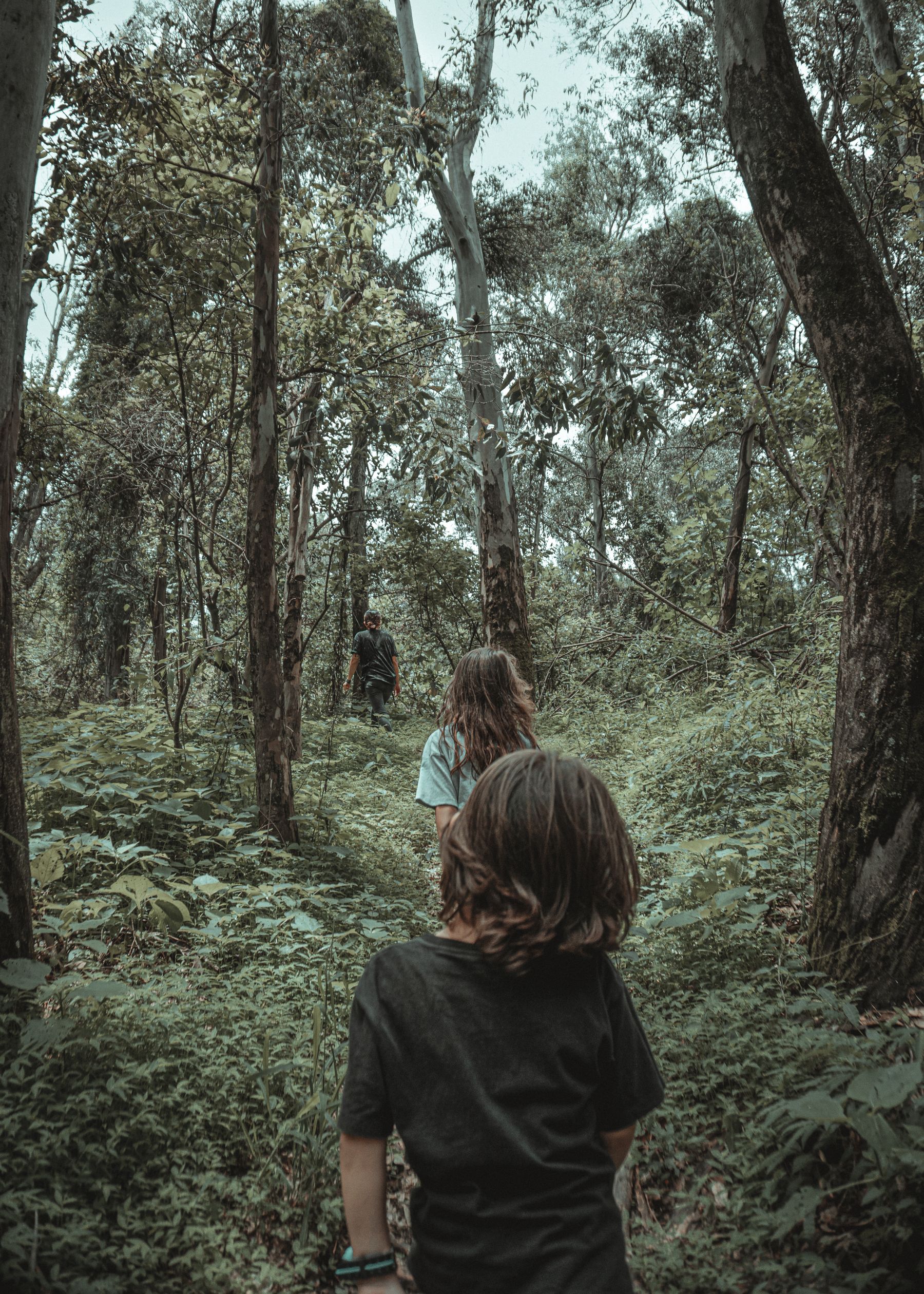 Gemeinsam auf einem Weg durch den grünen Wald unterwegs